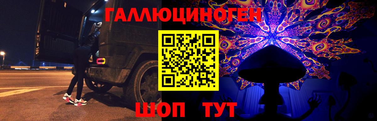 Галлюциногенные грибы Cubensis  Вход с VPN  Урюпинск 